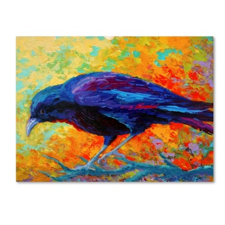 Marion Rose 'Crow 17' Canvas Art,35x47